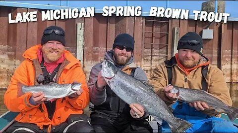 Lake Michigan Brown Trout in Spring, Trolling for Early Spring Brown Trout!