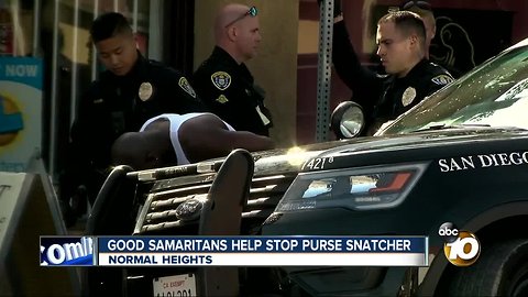 Good Samaritans help nab purse snatcher