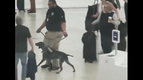 Hopefully this TSA agent was fired after this