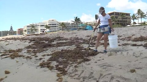 Palm Beach woman has a mission to keep beach clean
