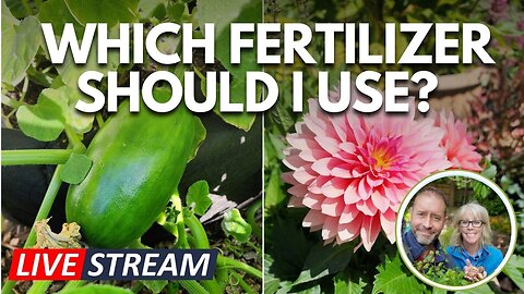 💚 Live | Summer Fertilizing - Which to Use and Why 😮