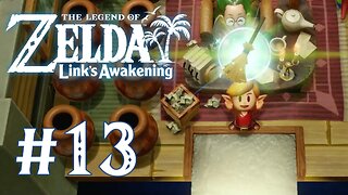 The Legend of Zelda: Link's Awakening (2019) - Collecting Lots Of Stuff