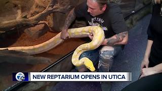 The Reptarium offers patrons a up close encounter with turtles, snakes and frogs