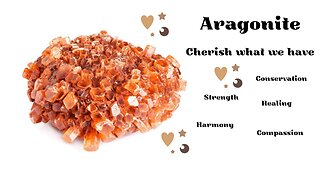 Aragonite - Cherish What We Have