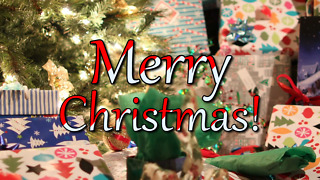 Merry Christmas - Greeting 2