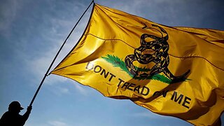 Kid Gets Kicked Out for Gadsden Flag