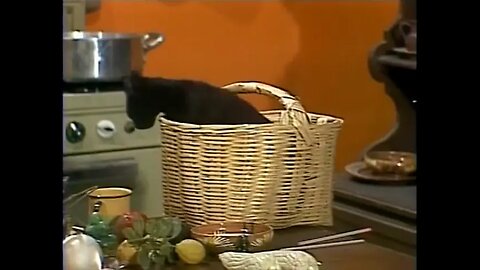 CHAVES - Episódio #268 (1979) Os gatinhos de Chaves