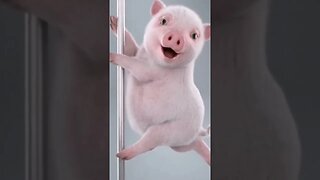 Piggy Dance @ @everyone #everyone