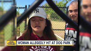 Grandma allegedly attacked at Tampa dog park