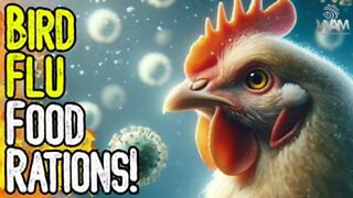 WARNING: BIRD FLU FOOD RATIONS! - Government Using Fake Pandemic & WW3 To Destroy Supply Chain!