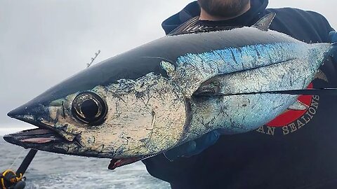 DEEP Blue Pacific Ocean TUNA FISHING!! (Albacore Catch N' Cook!)