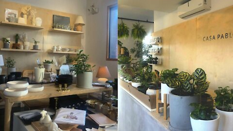 Ce nouveau café ultra mignon à Montréal vend des plantes et décos vintages abordables