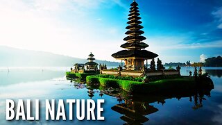 Bali Nature – TVARI Hip Hop & Rap Music [FreeRoyaltyBGM]