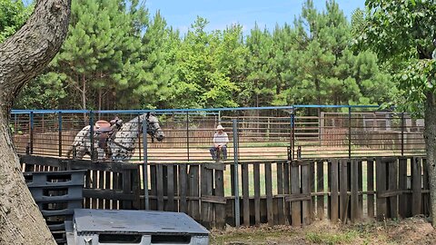 🤠🐎Superior Cowboy Trainer🐎🤠