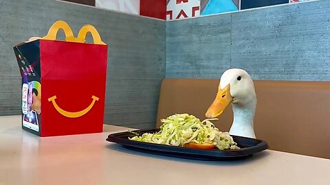 I took my duck to the World’s Largest McDonalds 🍟🦆
