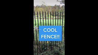 COOL FENCE!!