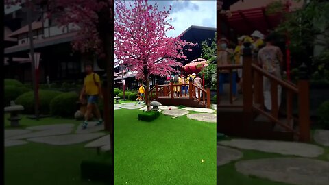 Little Tokyo Park in Thailand | Cultural Fusion and culture #shorts #japan #thailand #anime