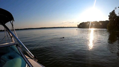 Moss and Finley - Lake Conroe TX