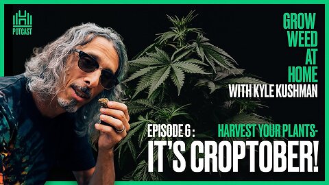 Master Cannabis Harvesting with Kyle Kushman | Episode 6
