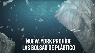 New York prohíbe las bolsas de plástico de un solo uso
