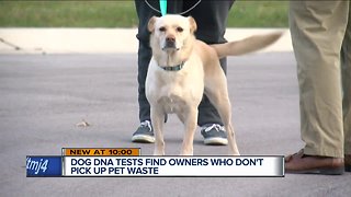 Dog DNA tests find owners who don't pick up poop