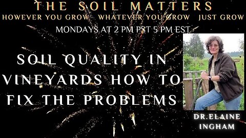 Soil Quality In Vineyards How To Fix The Problems