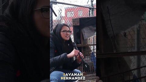 Savanah Hernandez, Seattle's Addiction Crisis