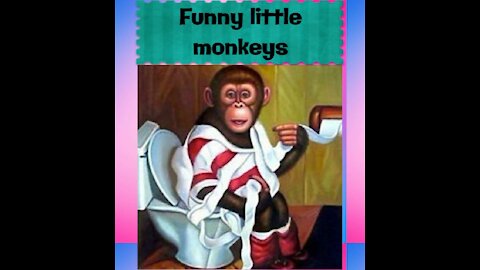 funny little monkeys