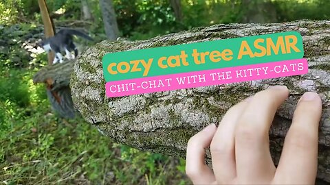 Cozy Chit-Chat With The Kitty-Cats - Tracing, Whispering, Build Up, Scratching, Fallen Tree Outdoors