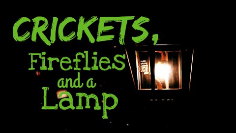 Crickets, Fireflies and a Lamp | Crickets and Light | What Else Is There?