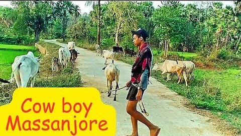 Cow Boy Massanjore Jharkhand@mithunutpal