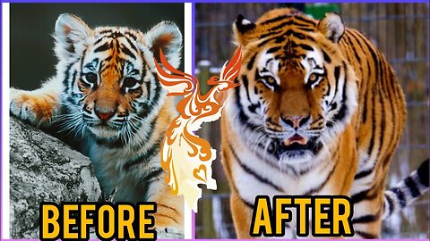 Before & After Animals Growing Up| Baby Animals to Adult Animals| Incredible Transformations PART1