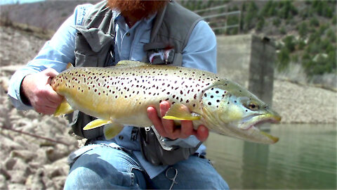 Too LARGE for the Net!😃 - Monster Brown Trout on Streamer - McFly Angler Episode 14