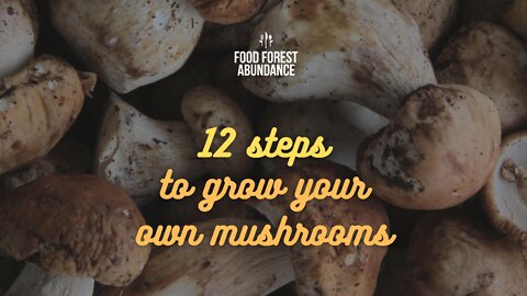 12 Steps to grow your own mushrooms (in a bucket)