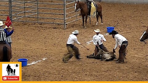 Team Branding - 2023 Coors Cowboy Club Ranch Rodeo | Friday