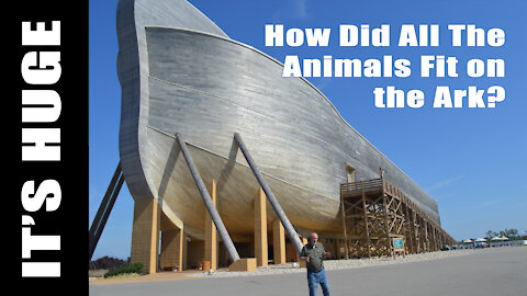 Noah's Ark: How Could So Many Animals Fit?