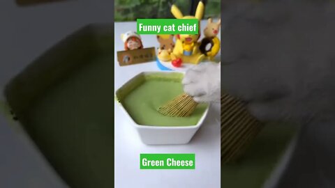 funny cat noodle||funny cat videos||chef cat changan||kittygod_cn new video||#Gigox#tiktok#shorts