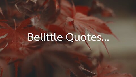 Belittle Quotes