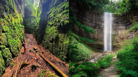 8 Lush Forest Trails Near Toronto That Will Make You Feel Like You're Lost In Costa Rica