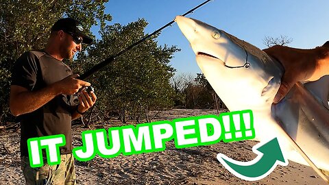 Sharks JUMPING! Camping DEEP in the Florida Everglades
