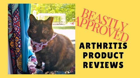 Trying Cat Arthritis Products for the First Time