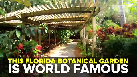 Sunken Gardens is a botanical paradise in St. Petersburg | Taste and See Tampa Bay