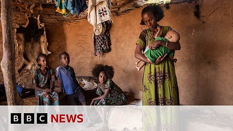 Ethiopia: Satellite images and doctor testimony reveal hunger crisis | BBC News