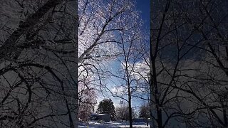 Raining Tree Ice