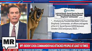 NewsMax STRUGGLES To Get Mad About Biden's Dogs