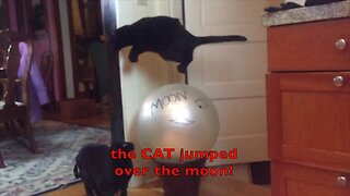 Leaping cat jumps over nursery rhymes
