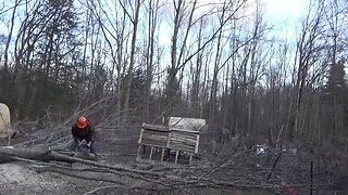 Finished Felling 8 Trees In Front Of My Tiny House On Wheels