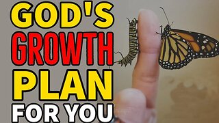 You Will Understand What God Is Doing In Your Life After Watching This || WATCH NOW!!