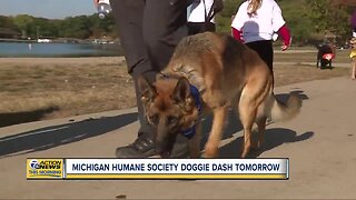 Michigan Humane Society Doggie Dash Saturday