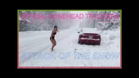 Official Bonehead Truckers Attack of the Snow!